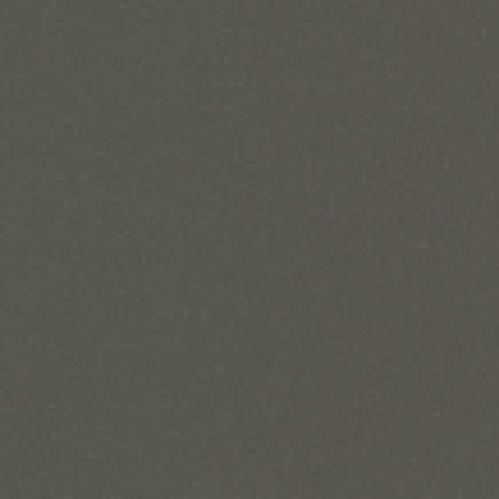 Medium Tone paint swatch.