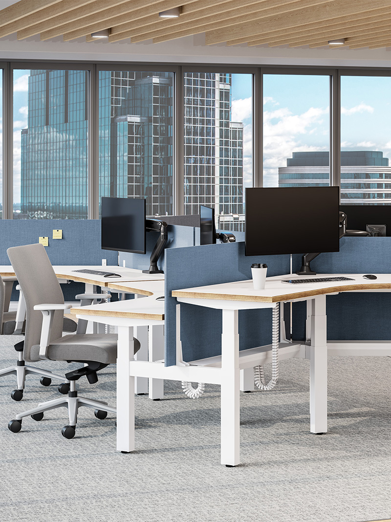 XTB4 in an open-plan office environment. 