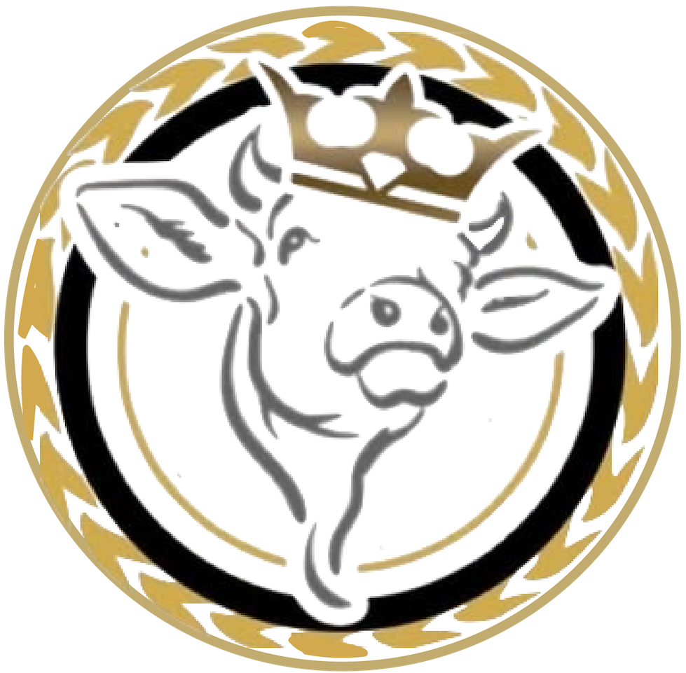 Tocayo Birrieria logo