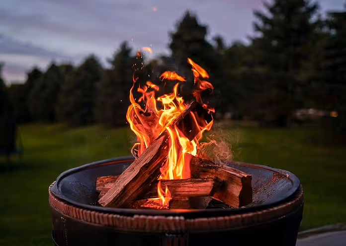 Bright orange flames burning wood logs in an outdoor fire pit with trees and grass in the background during dusk.