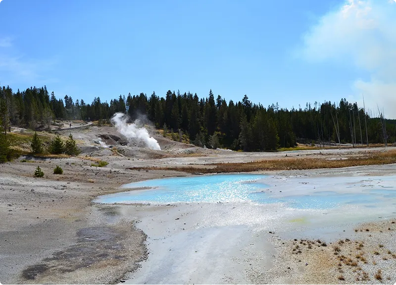 Geothermisches Gebiet mit dampfenden Quellen, blauem Wasser und Nadelwald unter klarem blauen Himmel.