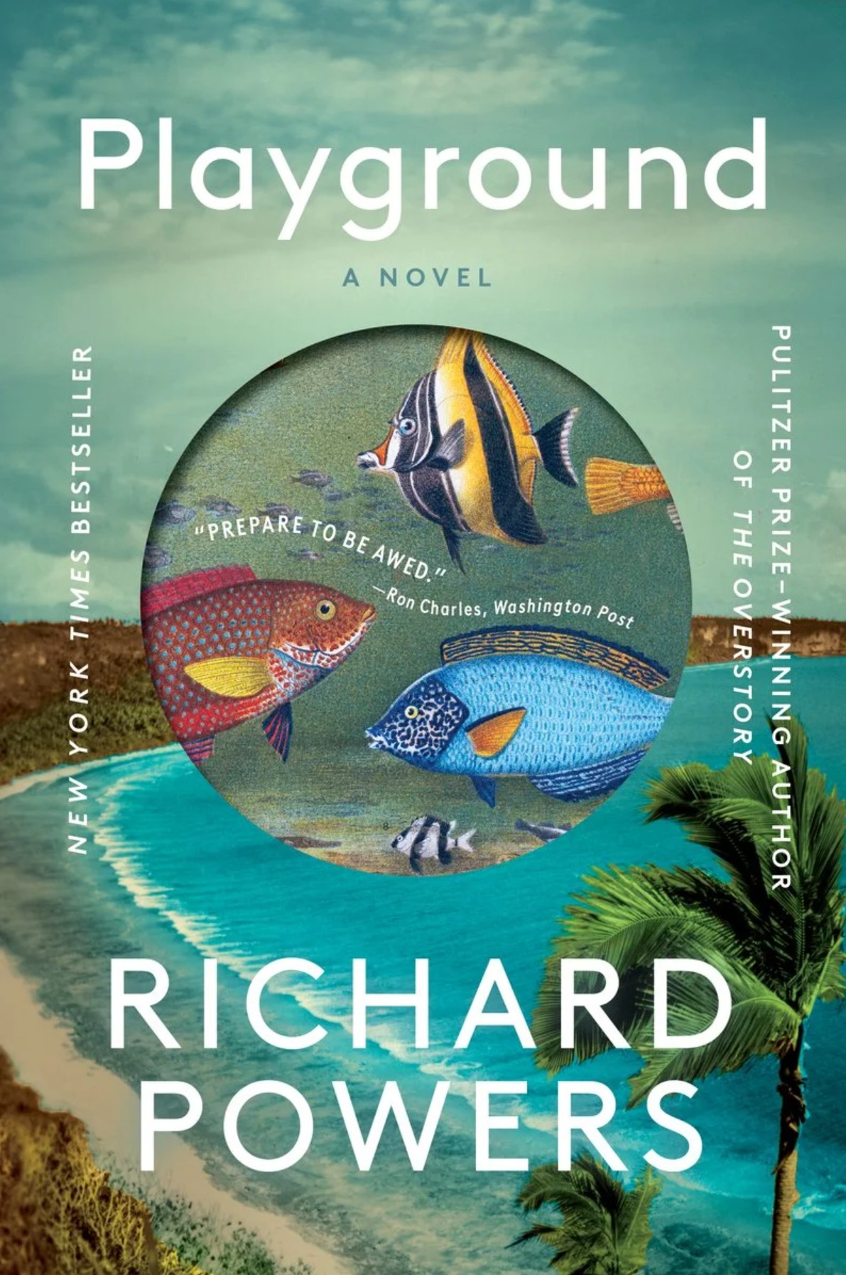 Playground by Richard Powers
