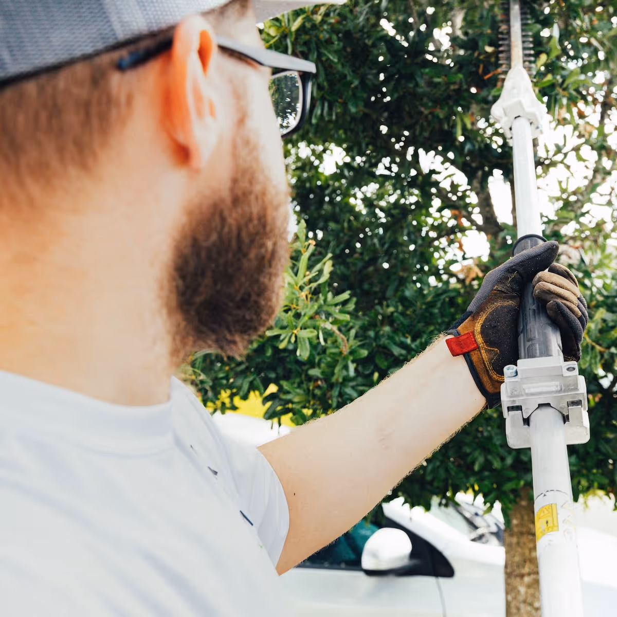 small tree trimming service in Lake Nona Florida