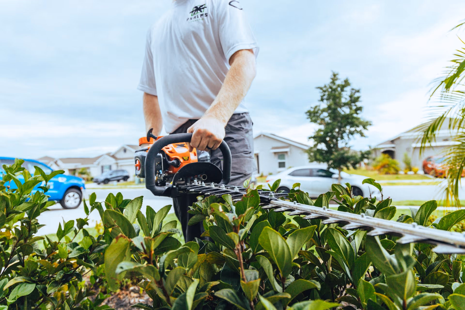 hedge trimming and shaping near me clean landscape lines