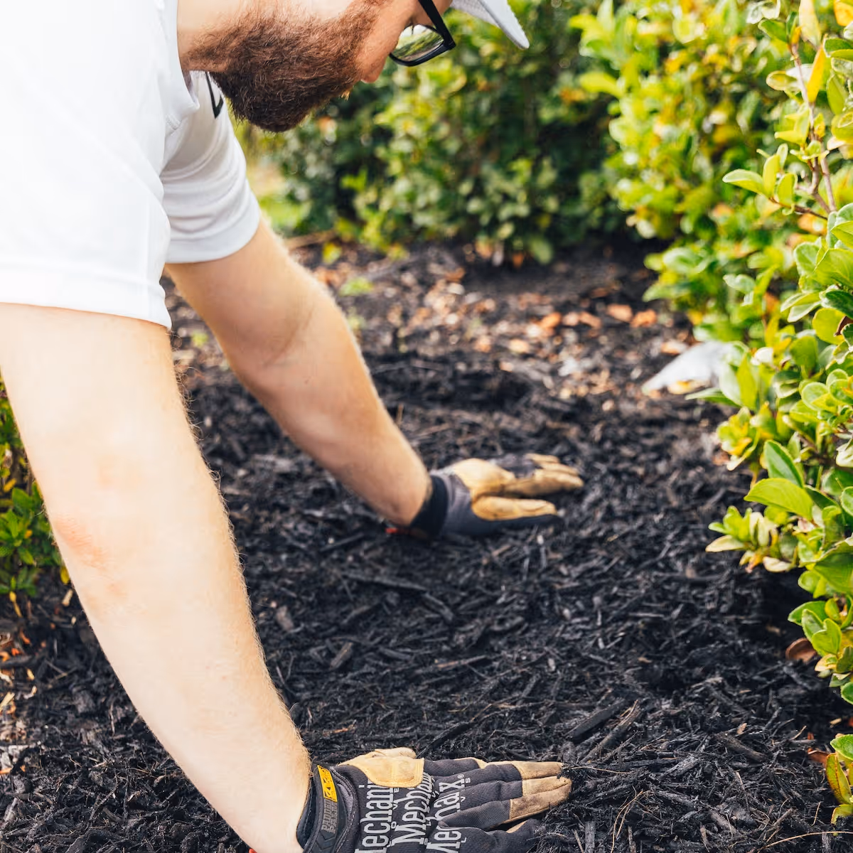 mulch installation in Lake Nona Florida landscape beds