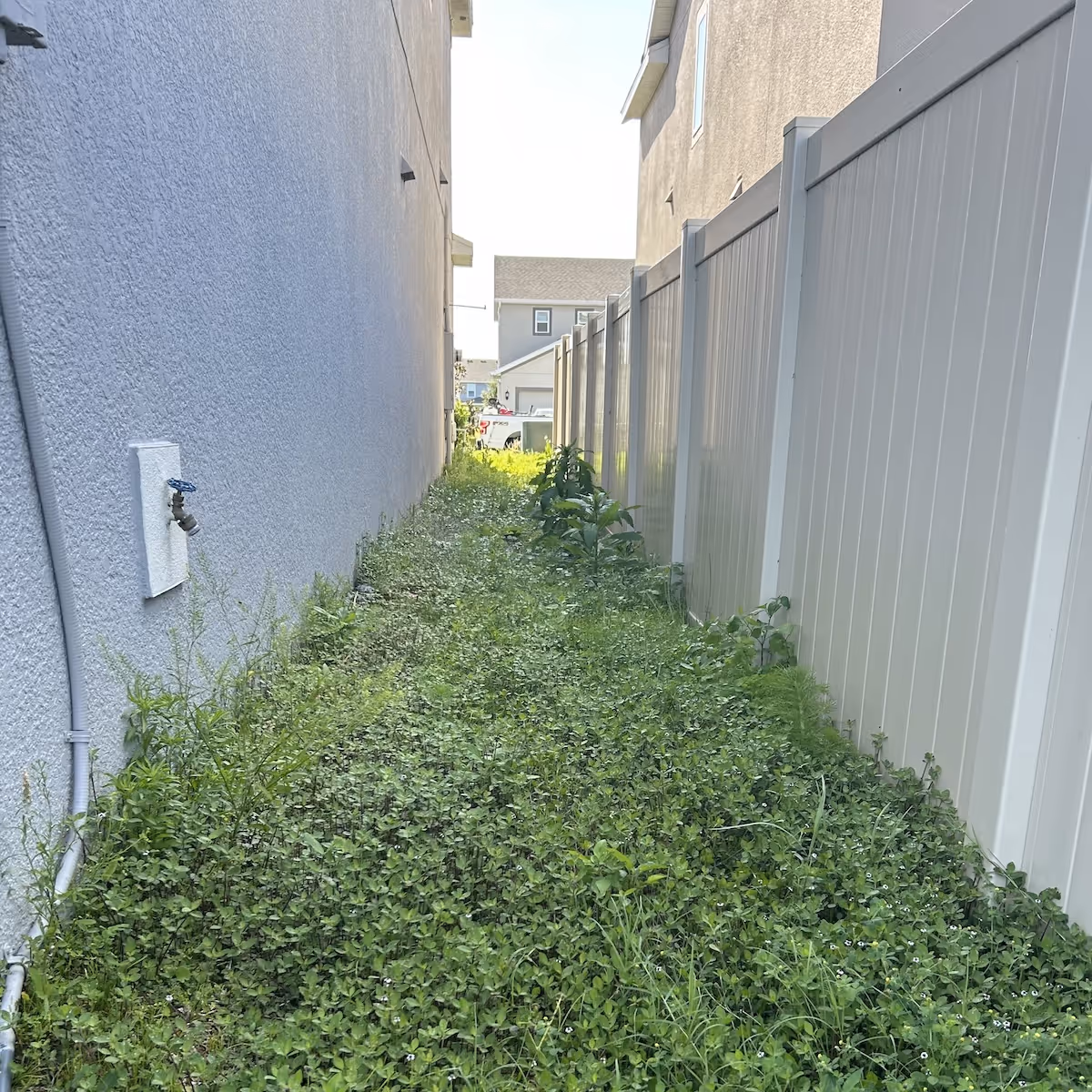 yard cleanup near me removing leaves and debris for a clean lawn