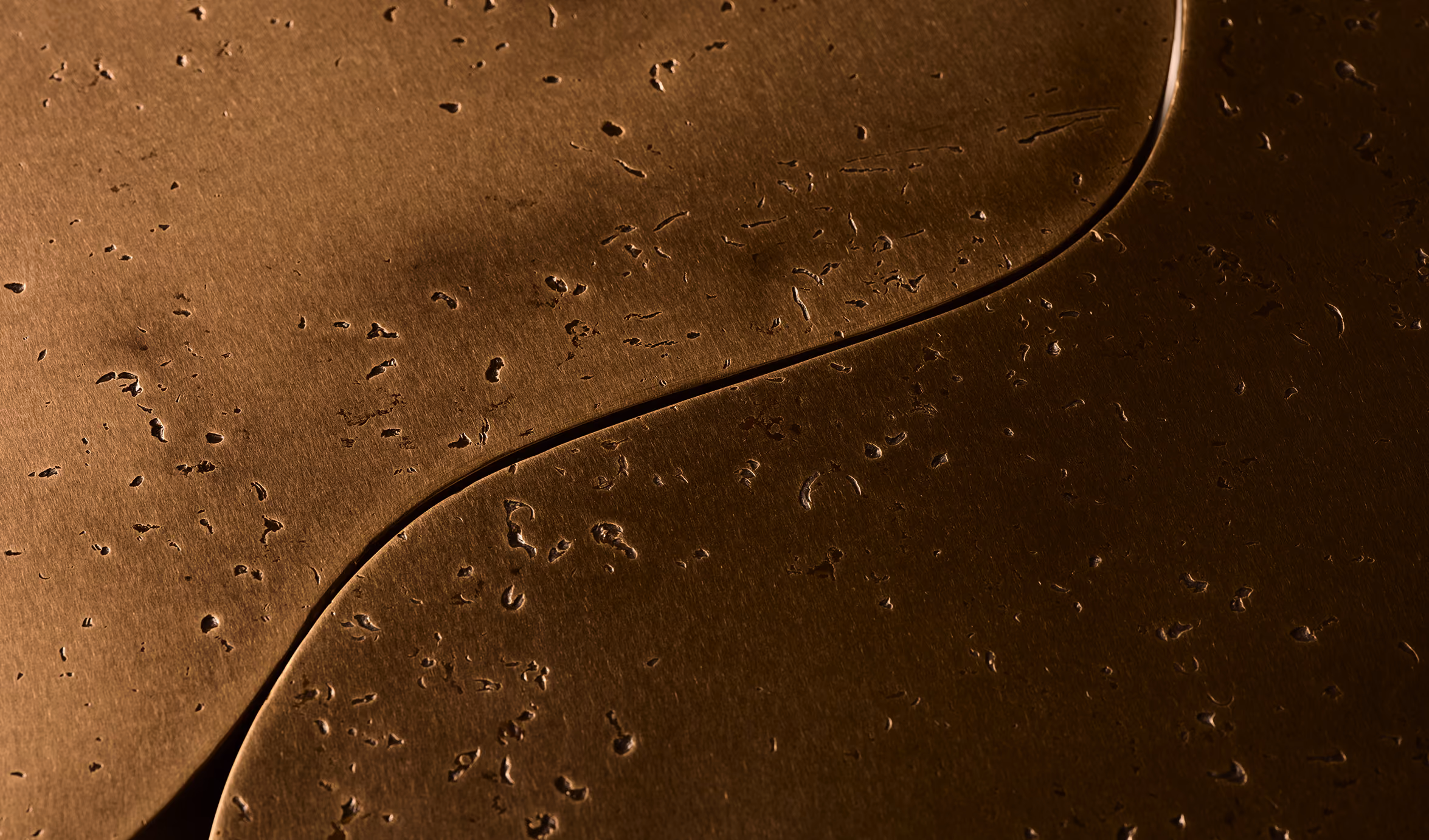 Close-up of smooth brown surfaces with a curved seam and scattered small irregular indentations or perforations.