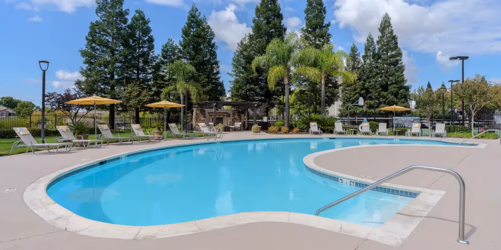 Pool and outdoor area