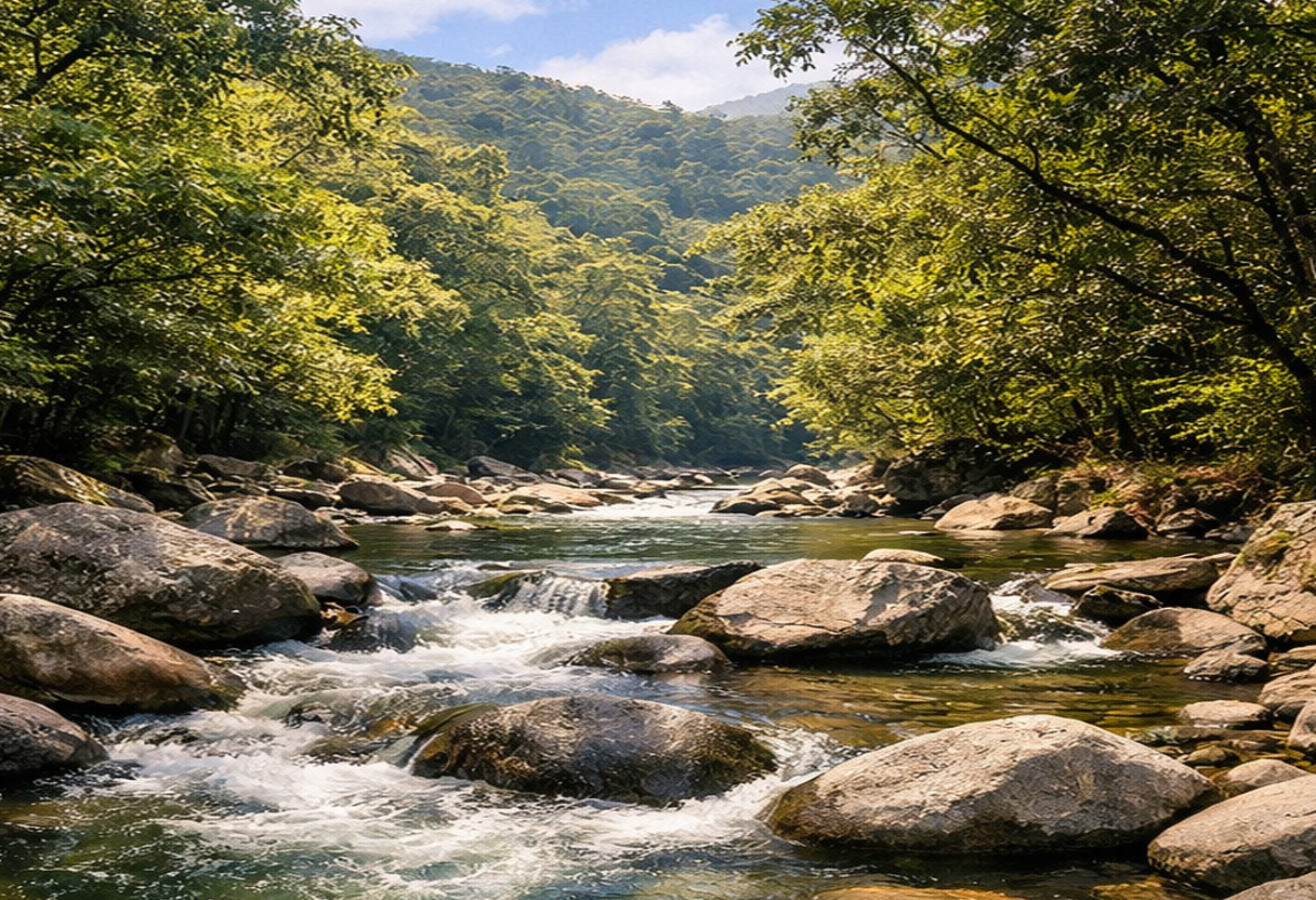 mossman gorge