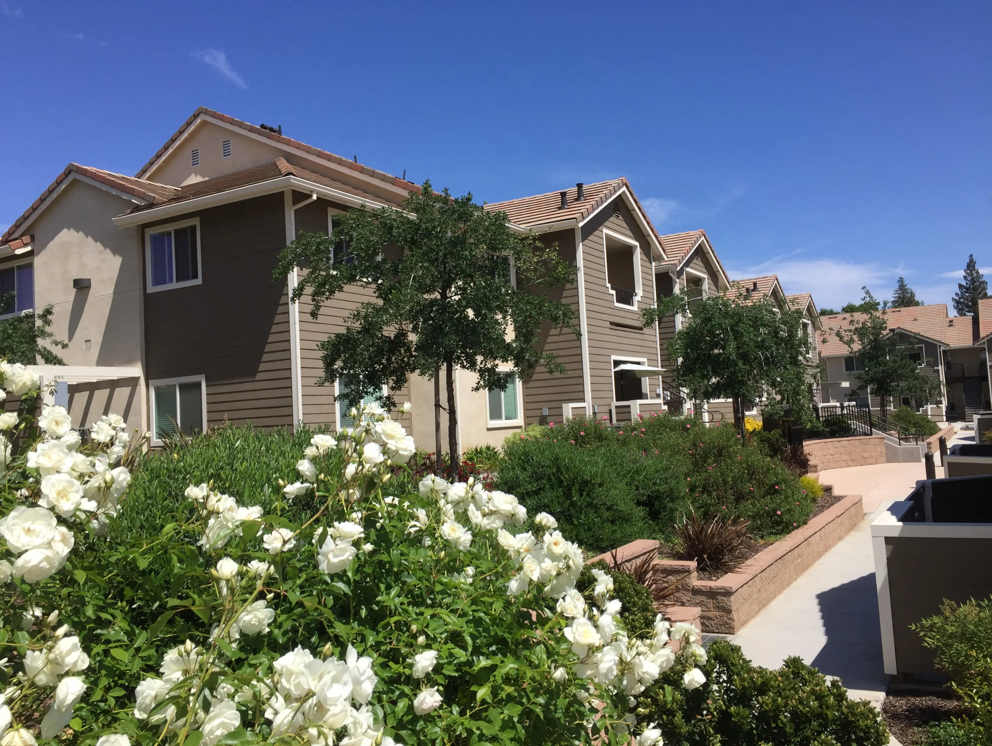 Exterior wth stairs to entrance surrounded by flower bushes