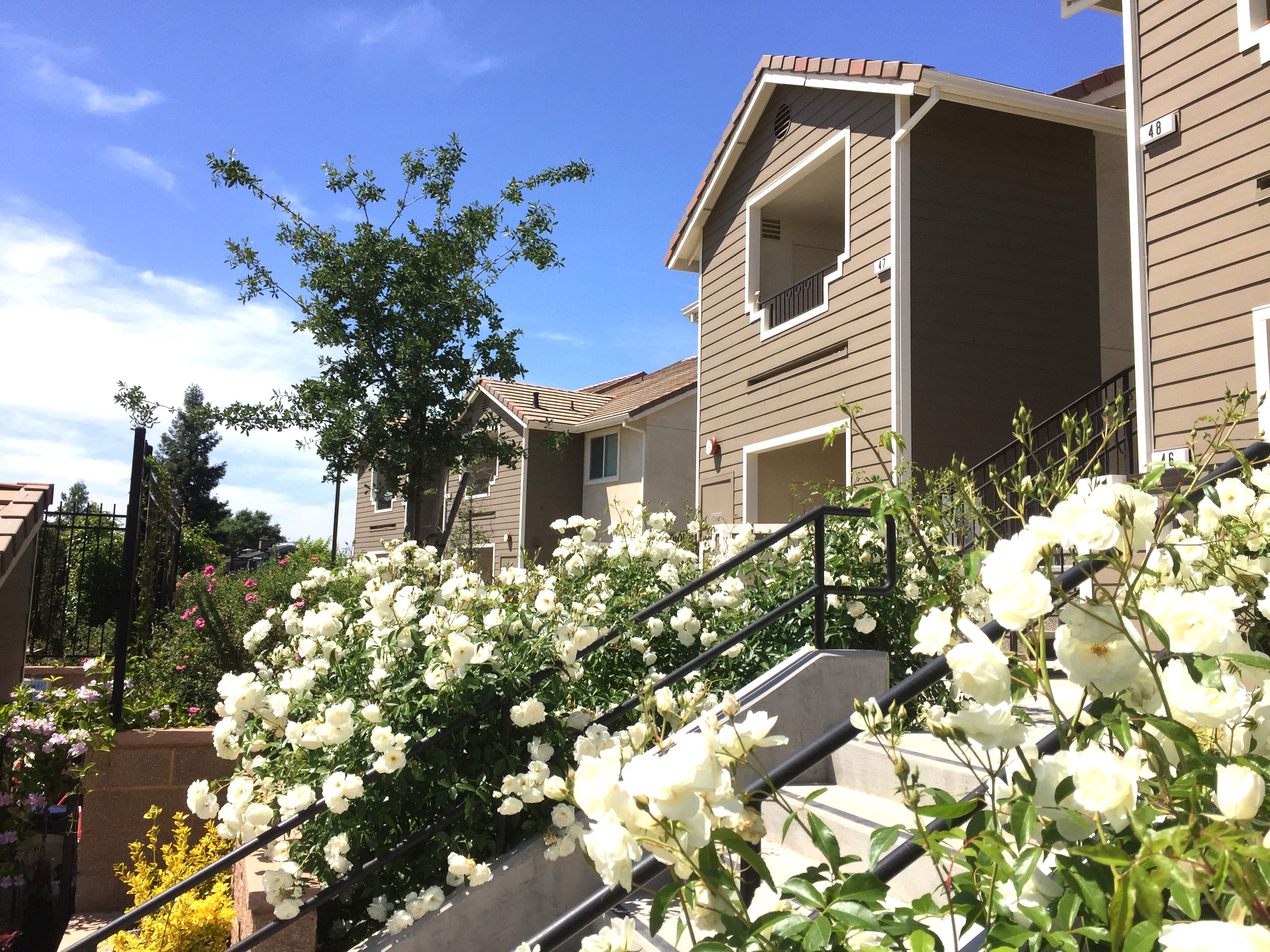 Exterior with walking path with lower bushes
