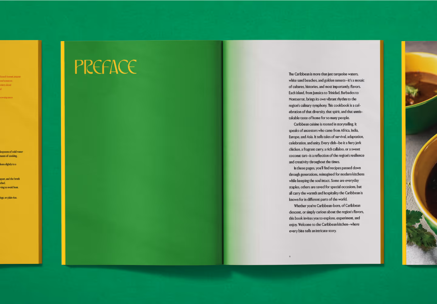 Cookbook preface page on green background