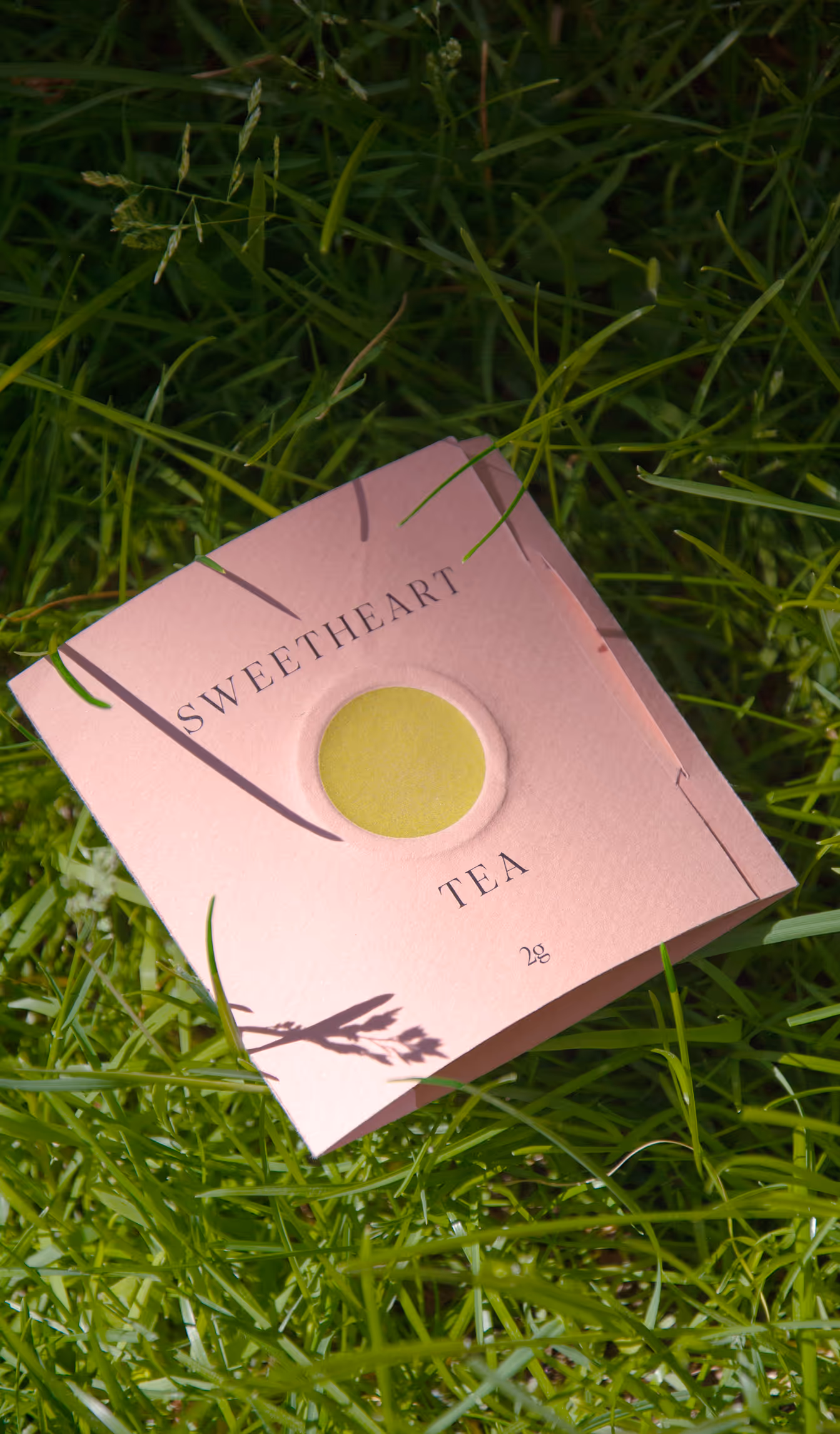 Sweetheart tea packaging in the grass, sun hitting bottom half of image.