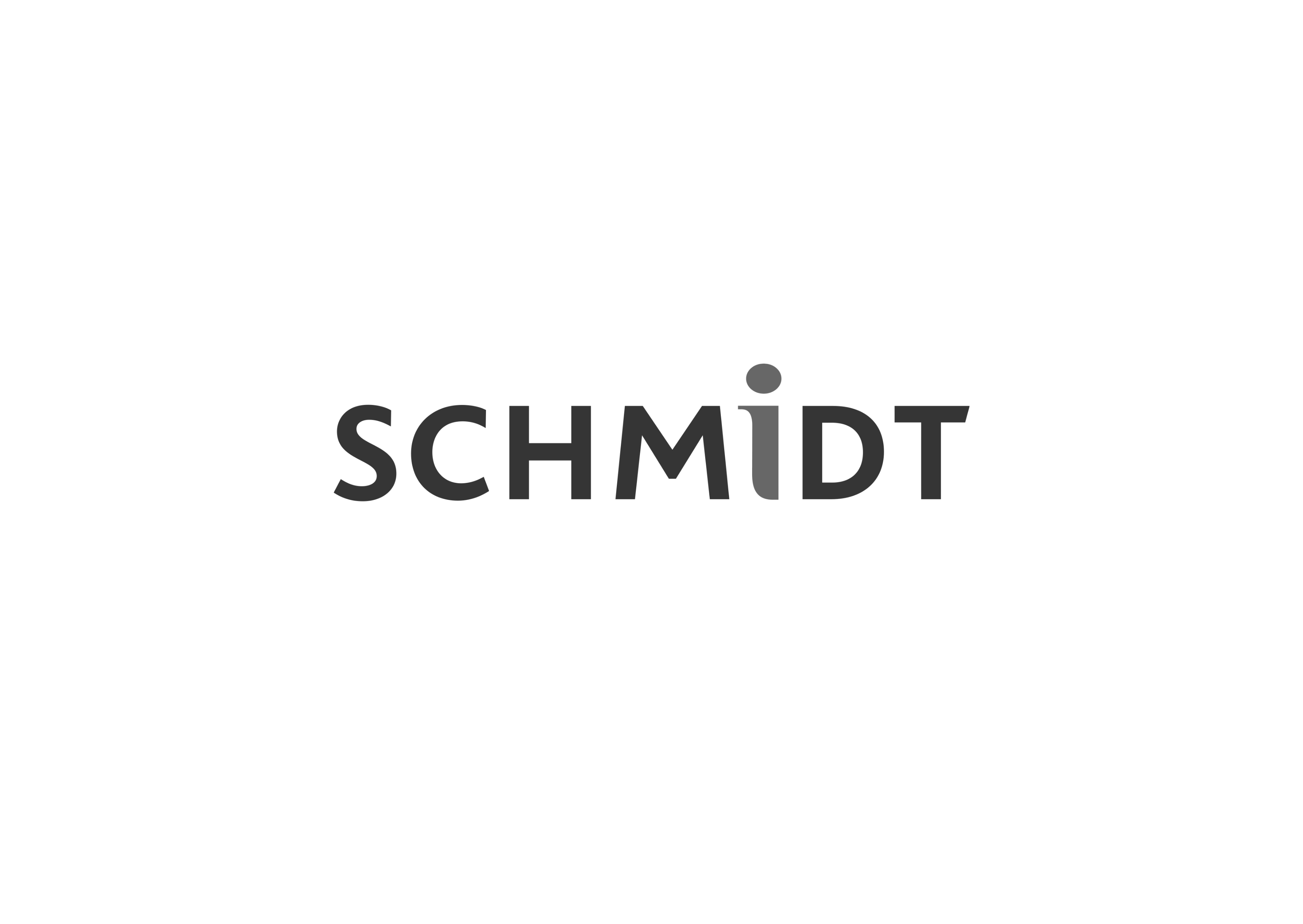 Schmidt Groupe Logo - Partnering with AI Partners for tailored AI solutions