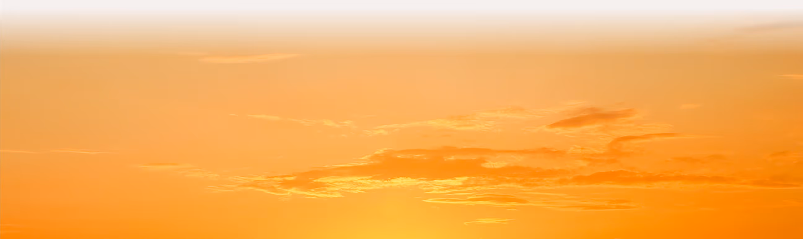 Silhouette of a dog walking on grass during a vibrant orange sunset.