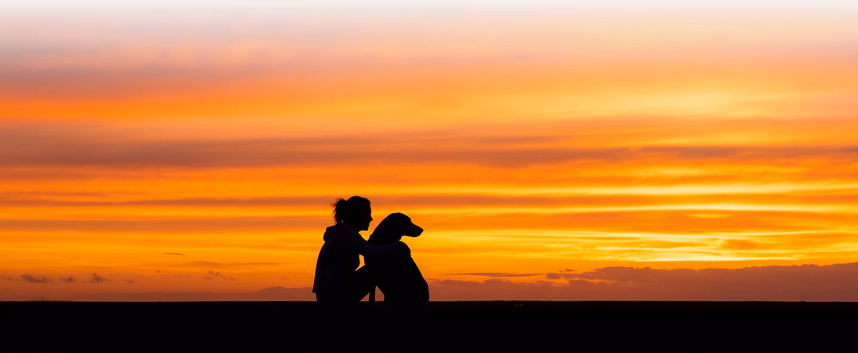 Silhouette of a person sitting beside a dog against an orange and yellow sunset sky.