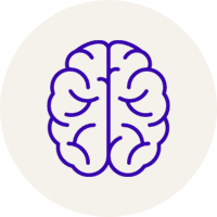 A line-style illustration of a human brain from a bird's eye view.