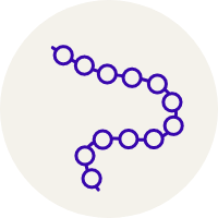 A line-style ilustration of a strand of protein depicted by a string of small circles in one long curved strand. 