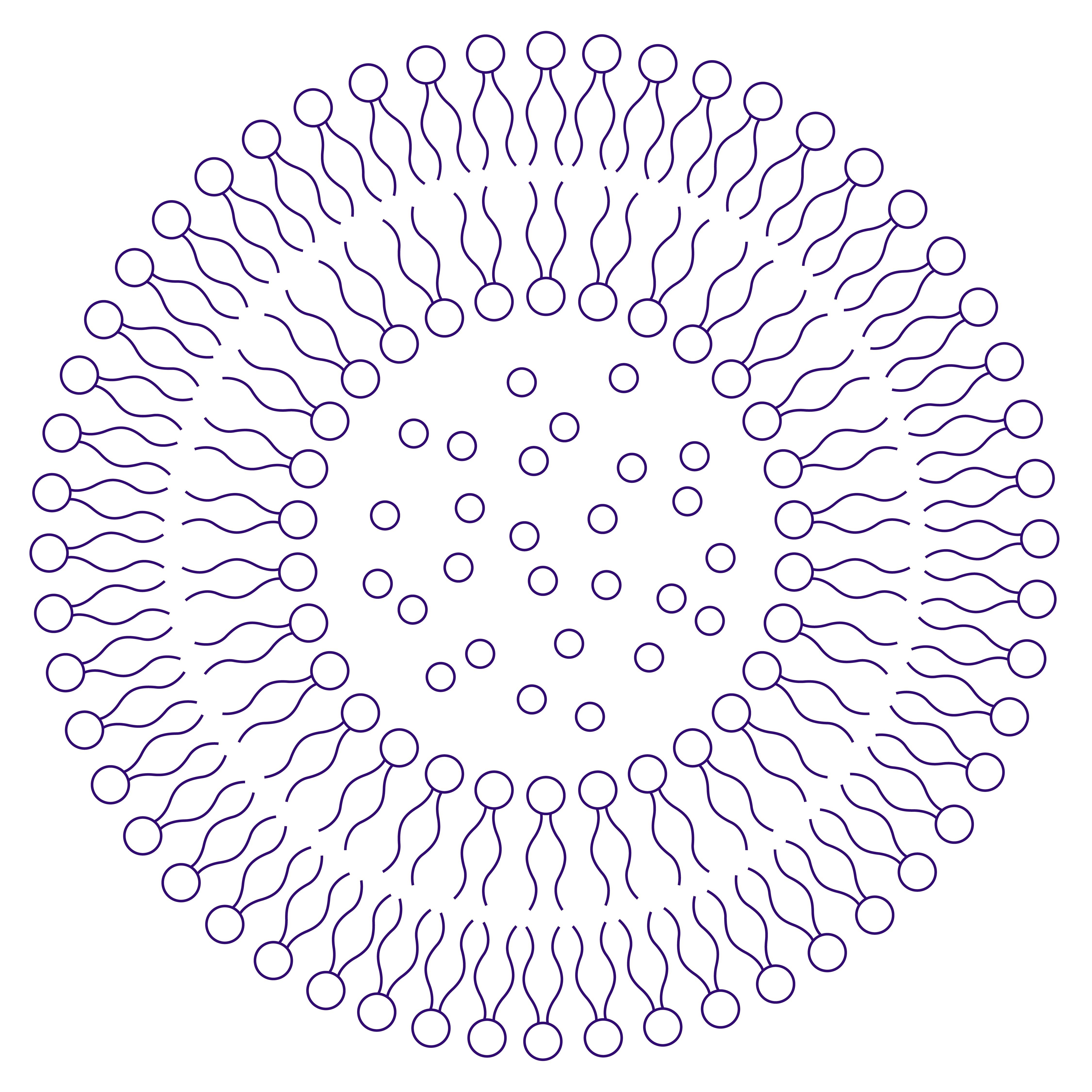 A line style illustration of a round cell containing small circles and surrounded by a bi-layer membrane depicted by two-layers of circles with squiggly lines attached, facing one another.