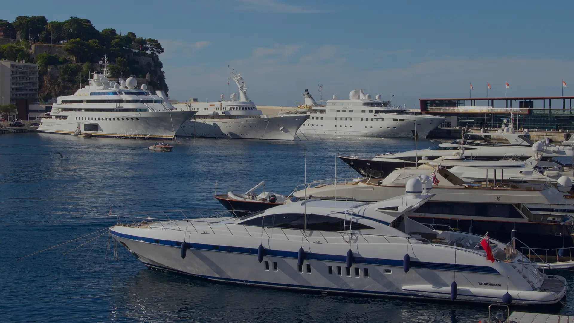 Luxury white yachts docked in a calm harbor with a hill and buildings in the background.