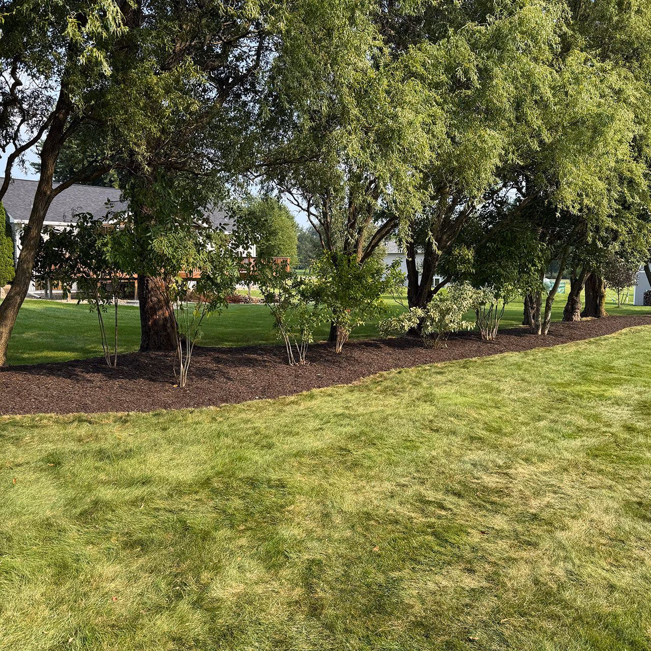Professional landscaping company near me Madison WI