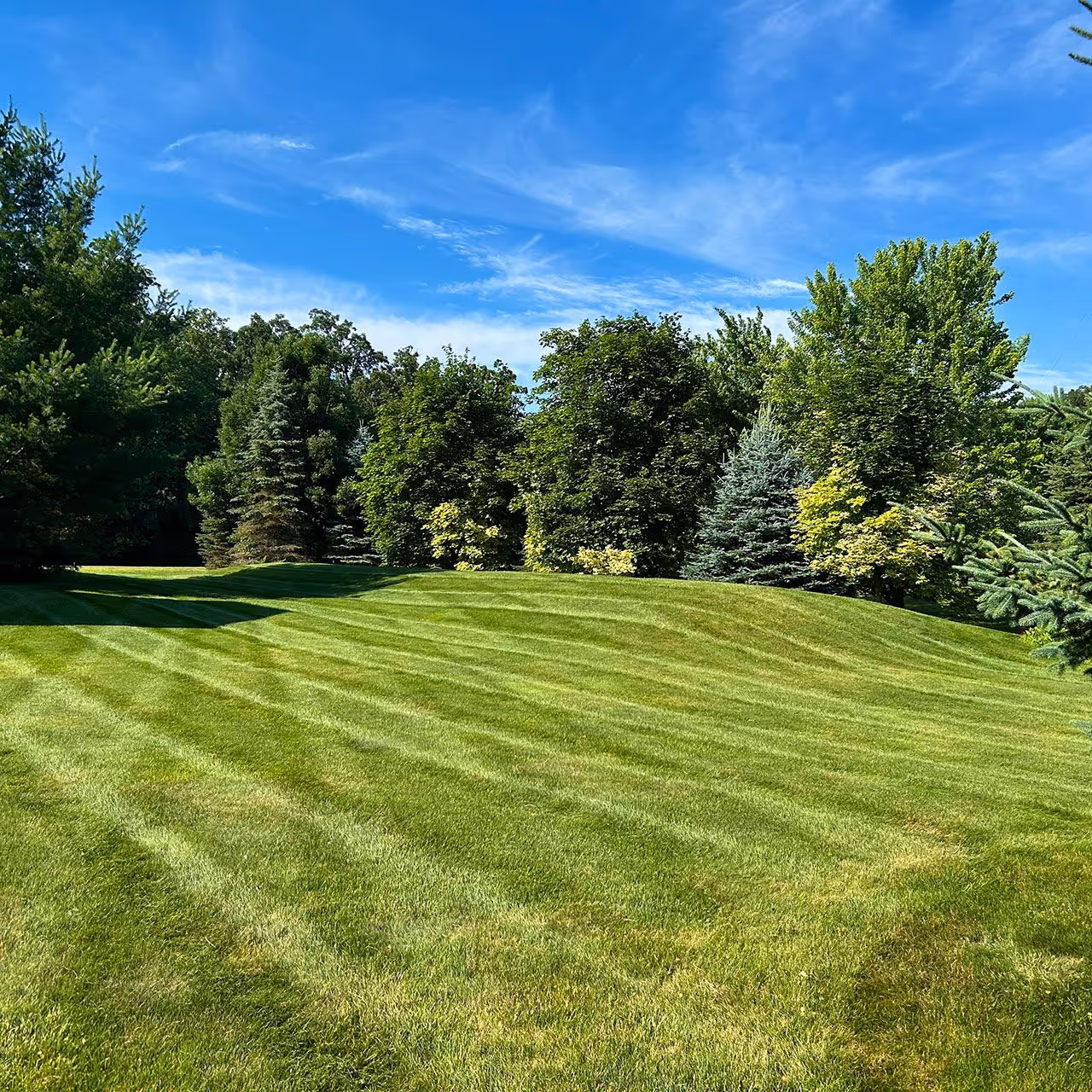 Residential and commercial lawn care experts in Sun Prairie and Madison WI