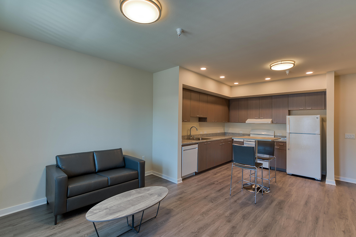 Living room and kitchen with brown cabinets