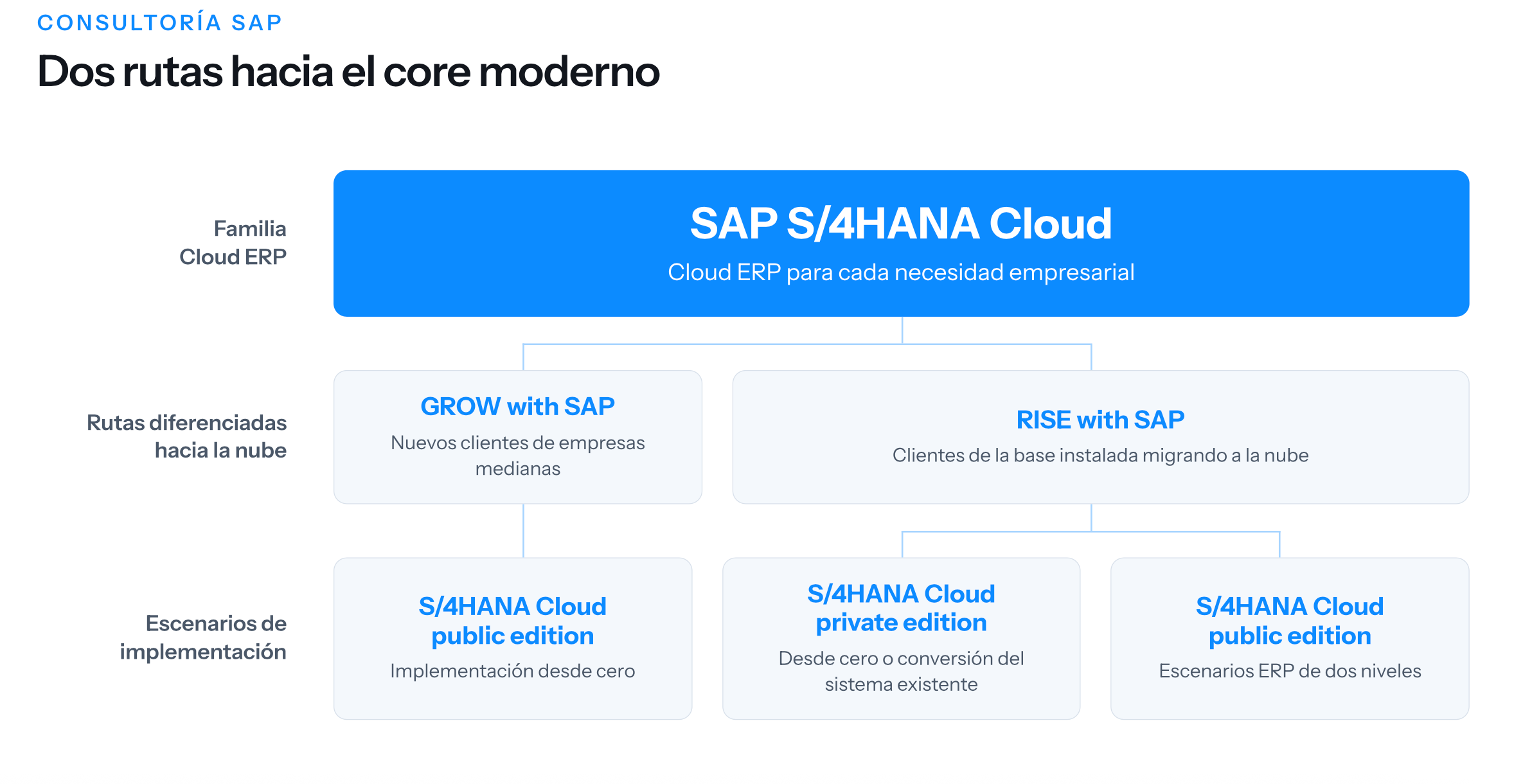 Dos rutas hacia el core moderno: SAP S/4HANA Cloud, GROW with SAP, RISE with SAP y escenarios de implementación