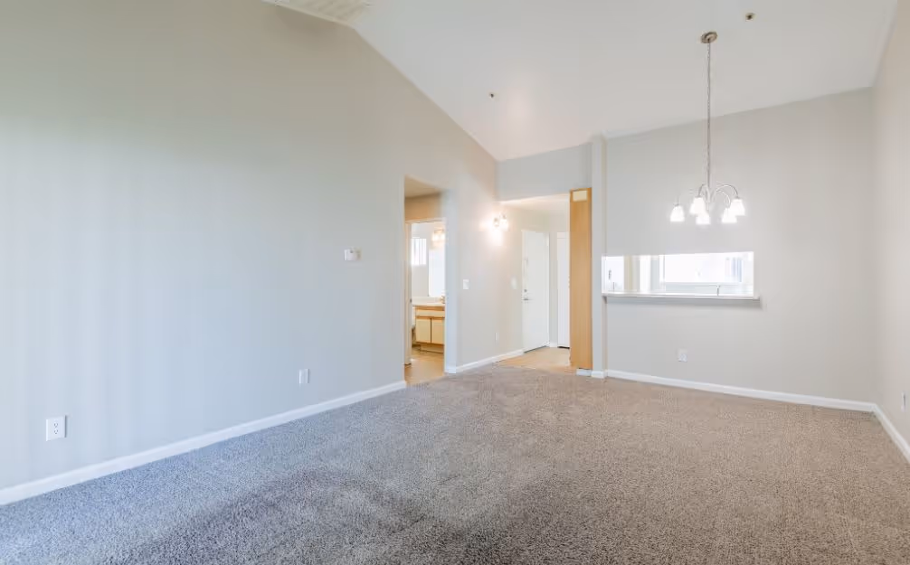 Living room with carpet