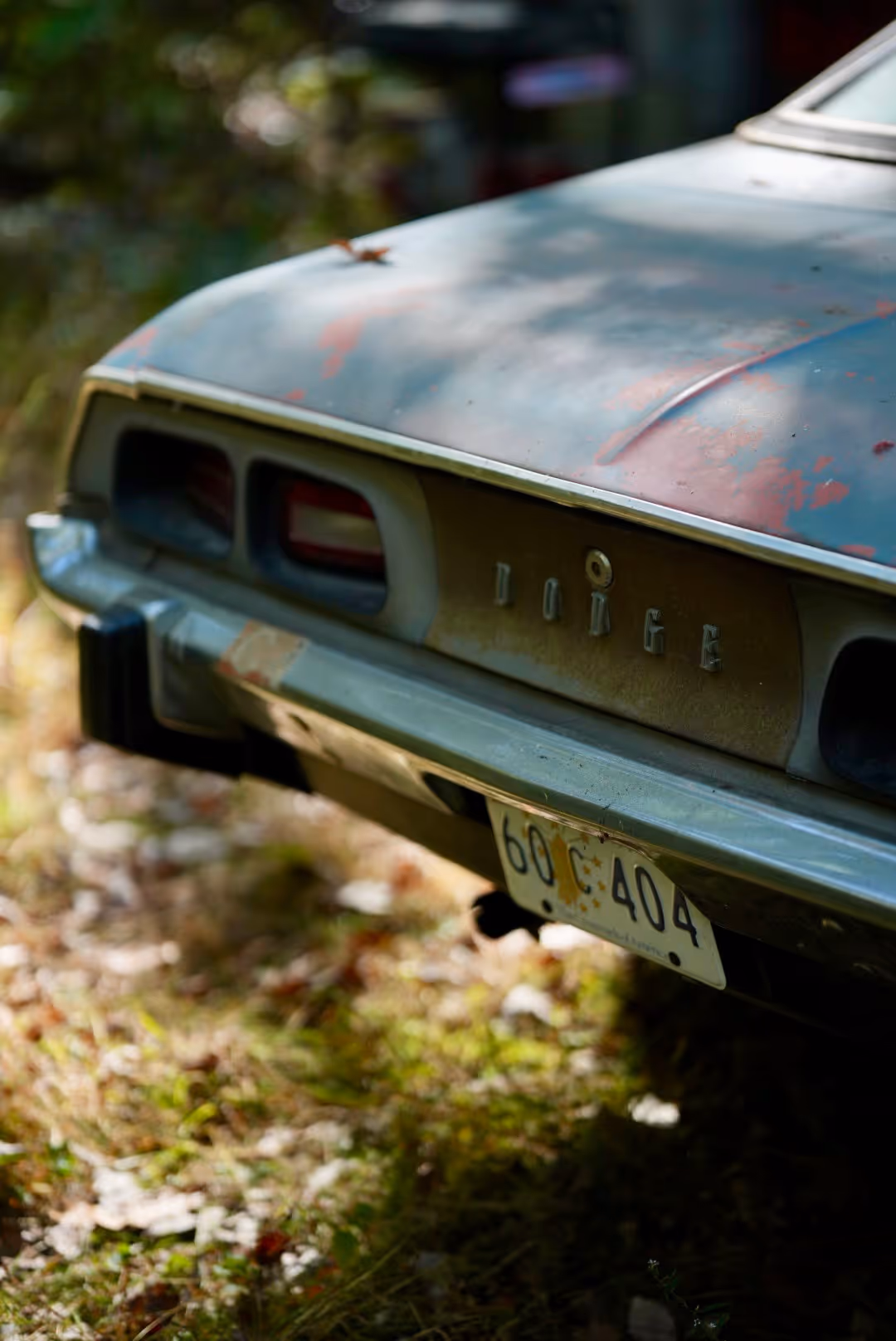 Rear of old, weathered AMC Javelin car with rusty license plate 60 C 404.