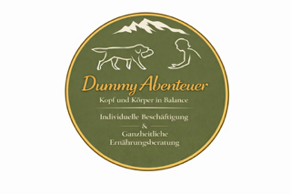 Dummy Abenteuer Logo