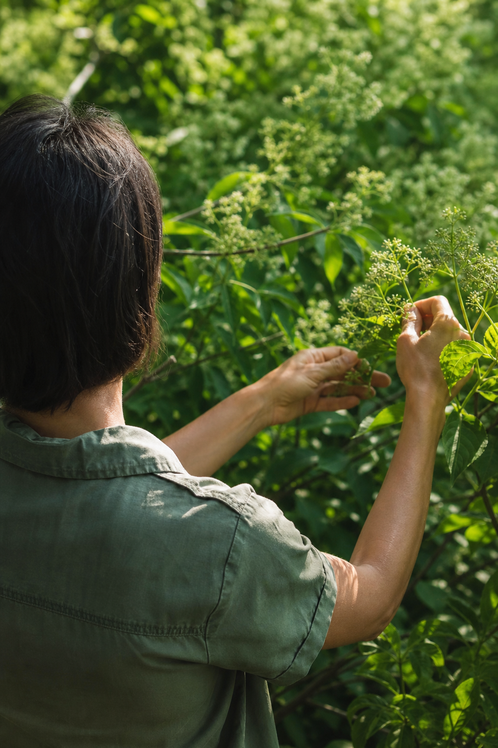 Maud, cliente Sophie Simon, reconvertie en jardinière paysagiste après bilan de compétences à Rennes