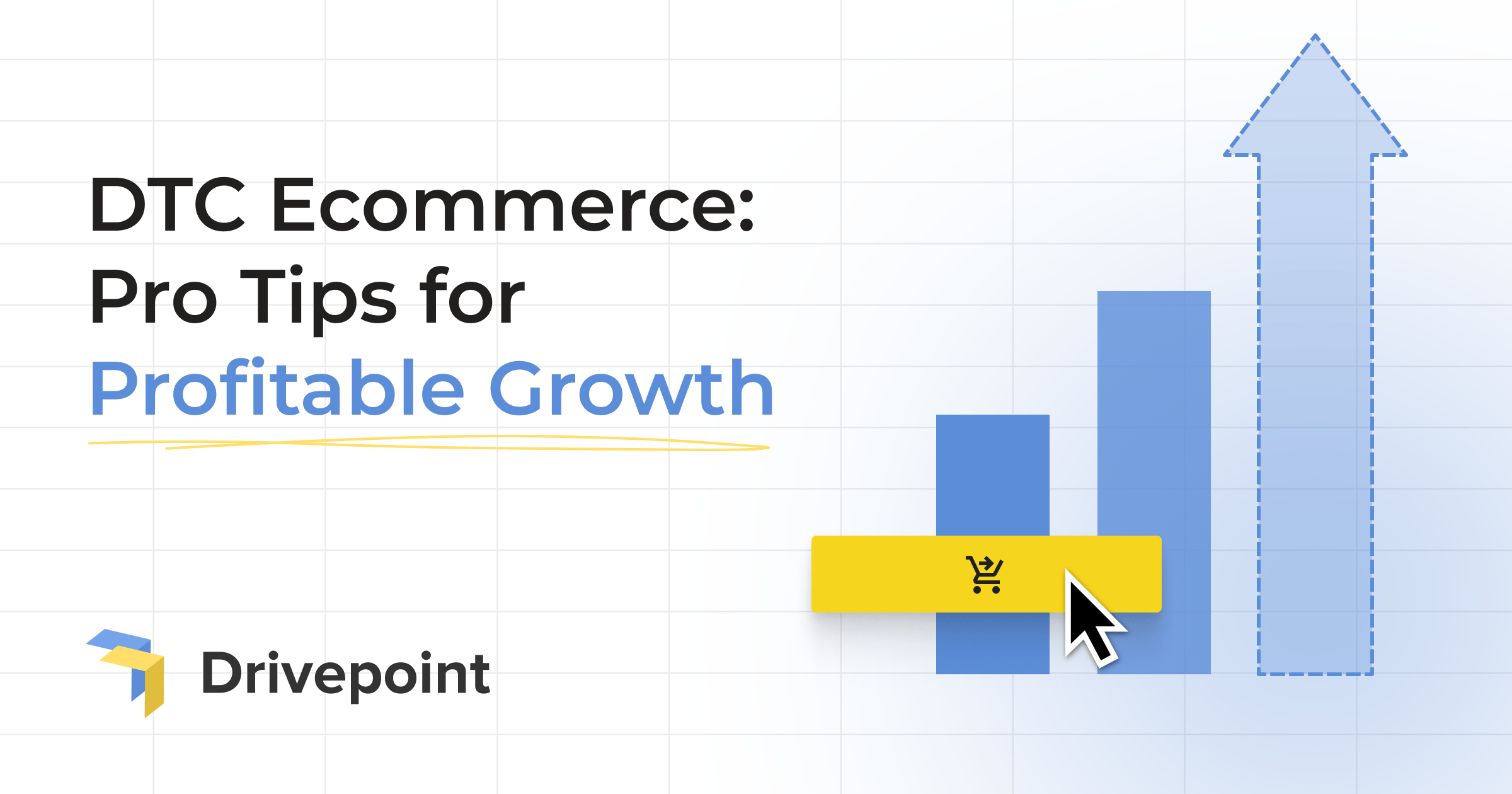 DTC Ecommerce: Pro Tips for Profitable Growth