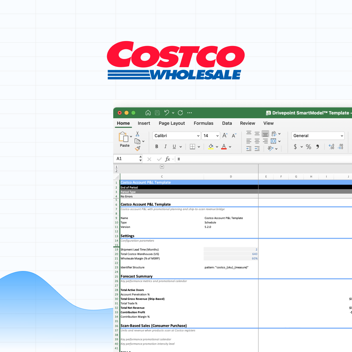 Costco forecasting template preview