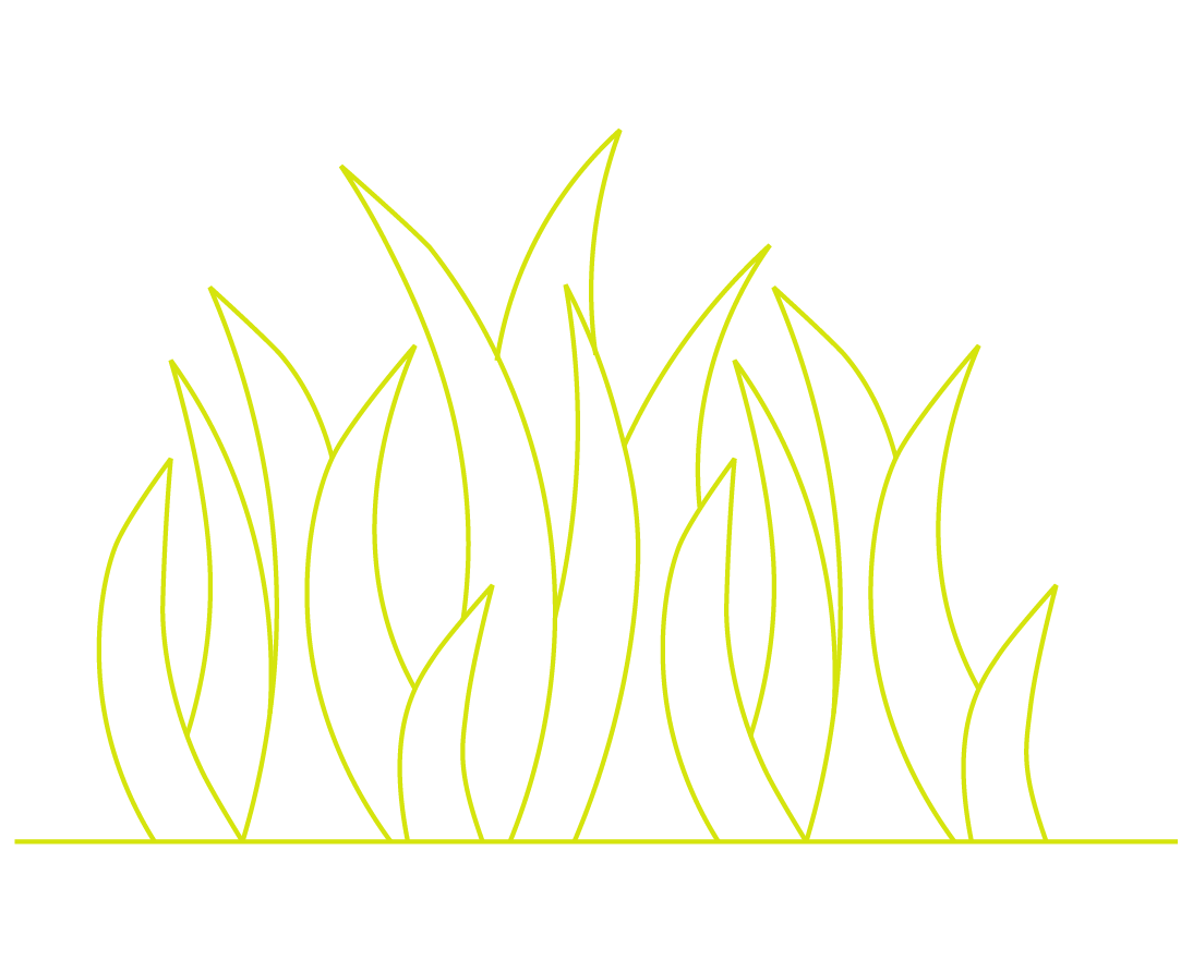 grass icon hzw environmental consulting firms