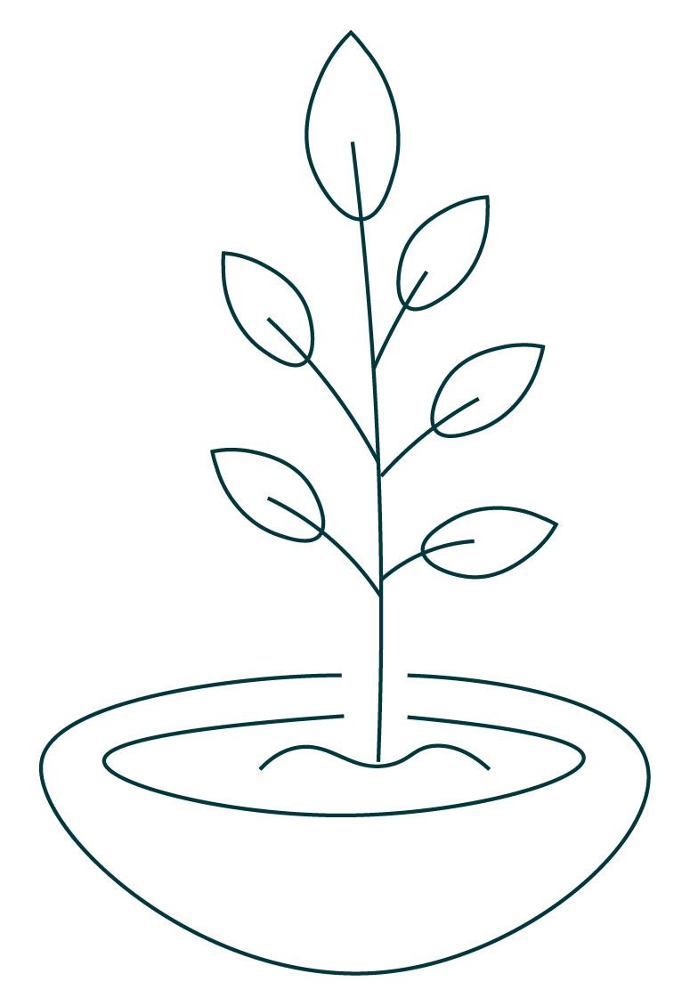 sapling icon | hzw environmental consulting firms