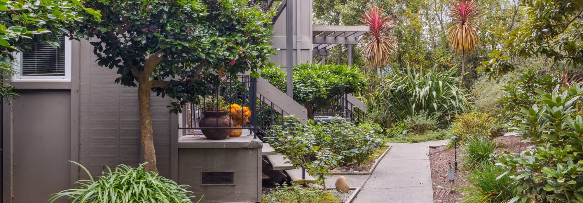 Sidewalk and landscaping