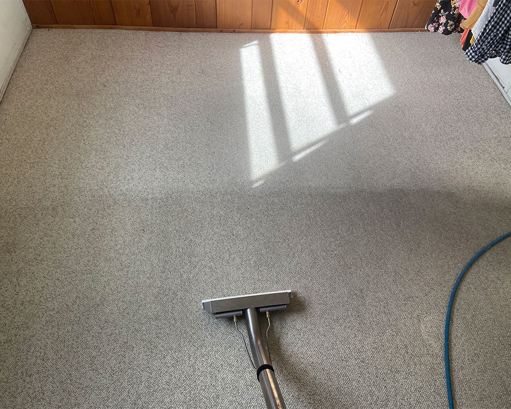 A close-up photograph of a professional steam cleaning wand moving across a carpet.