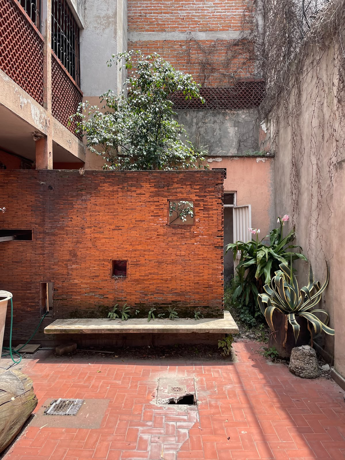 San Miguel Chapultepec — detalle 2