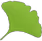 Gingko app