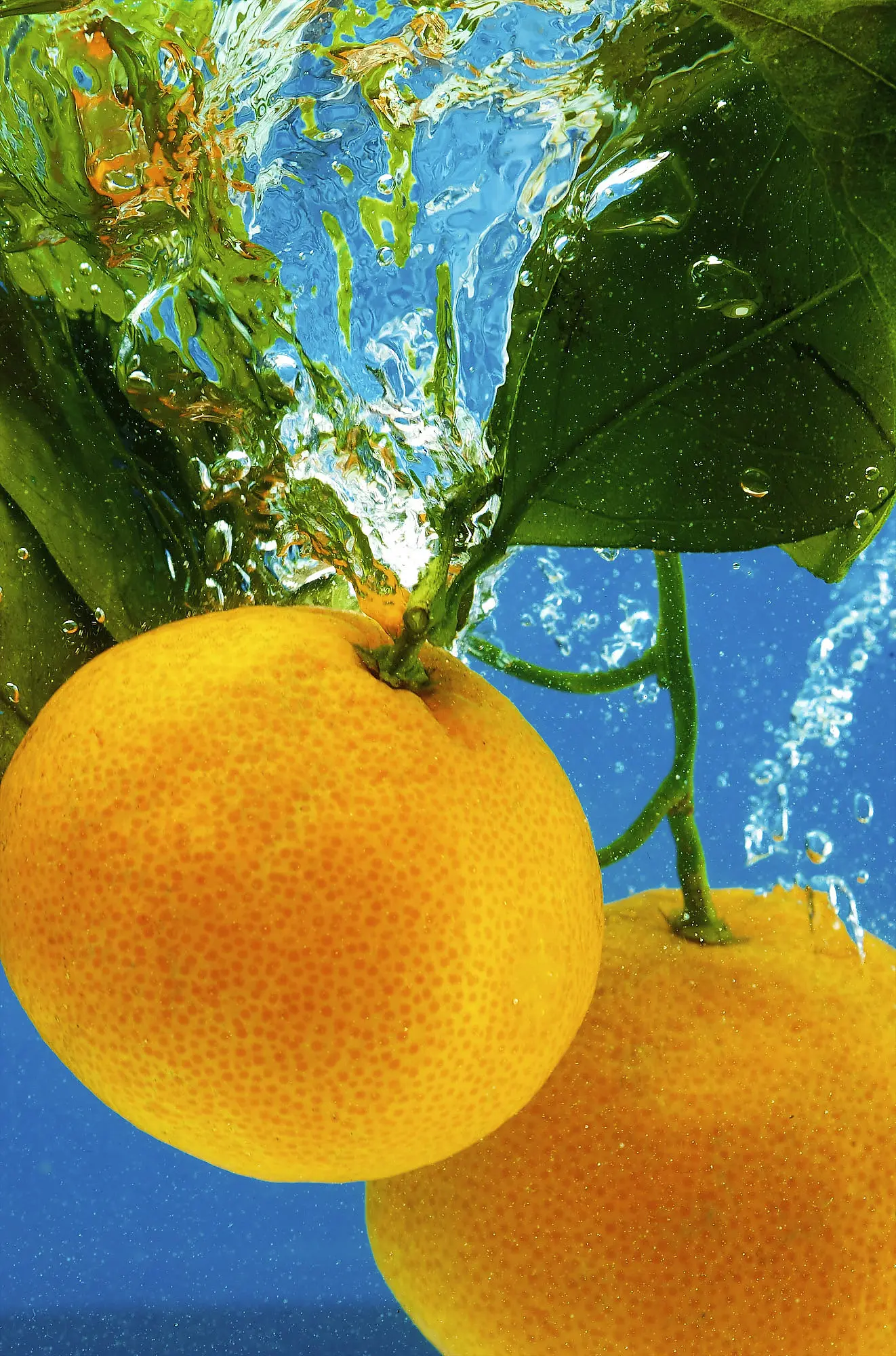Bright citrus fruit photographed for a colourful commercial campaign