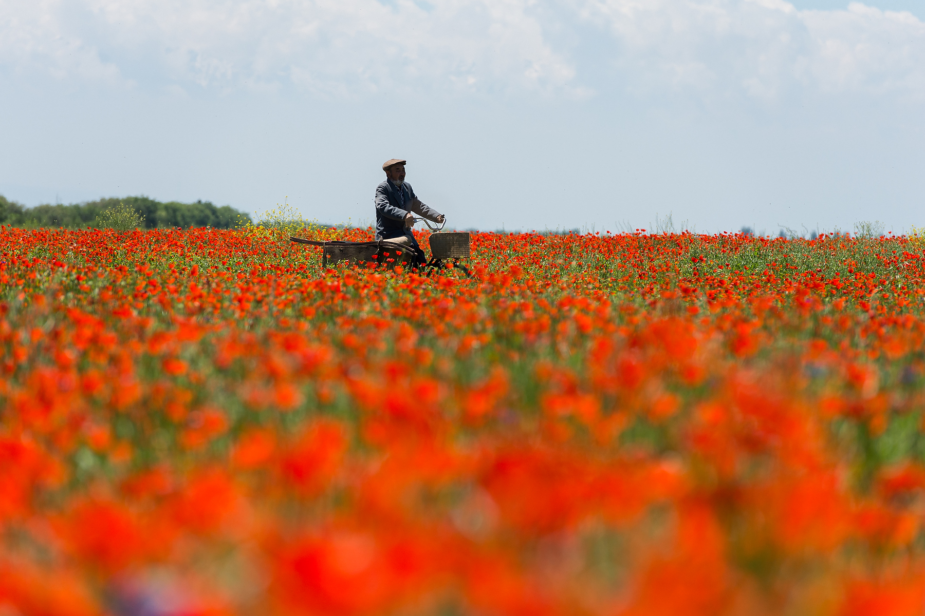 Cinematic unit still of a man riding through a field of red poppies