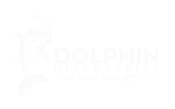 Dolphin Discovery Logo.