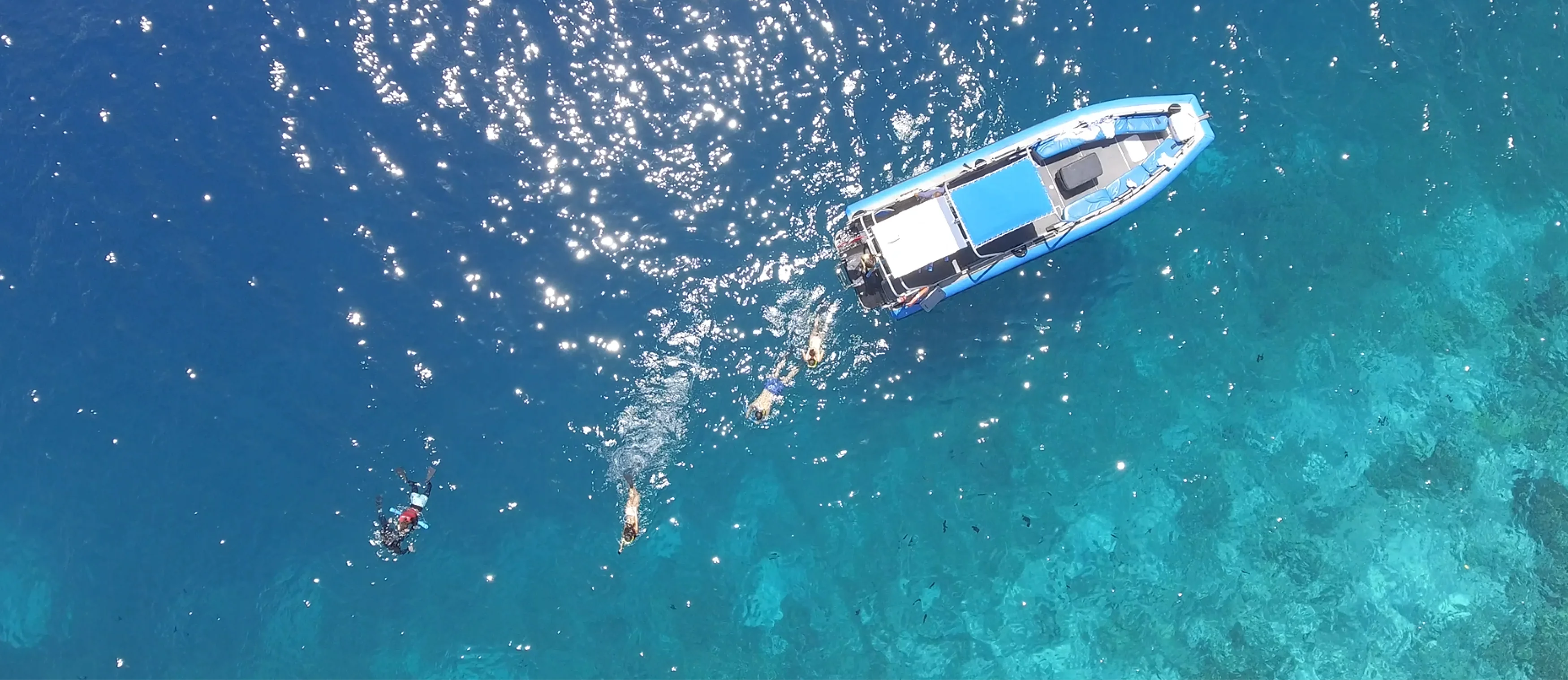 Four swimmers swimming in clear blue ocean near a small boat in sunny weather.