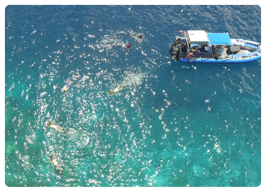 Aerial view of people snorkeling in clear blue water near a small boat with a white canopy.