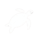 Simple white silhouette illustration of a sea turtle swimming.