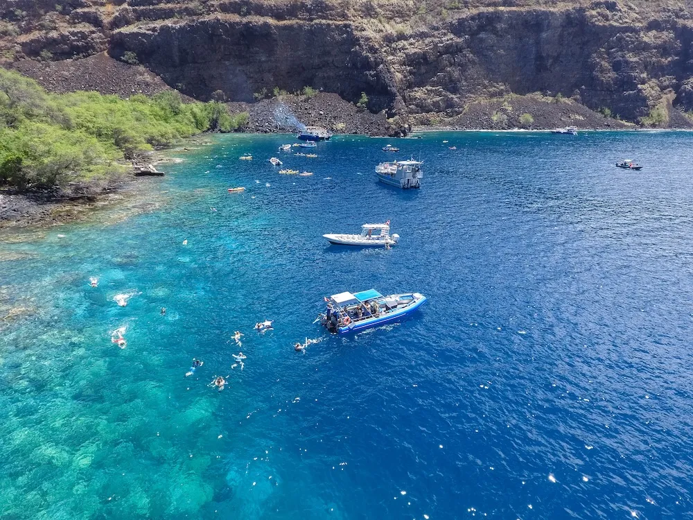 Snorkelers swimming near boats in clear blue water by a rocky shoreline with green vegetation.