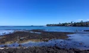 a sandy beach next to a body of water