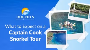 What to Expect on a Captain Cook Snorkel Tour