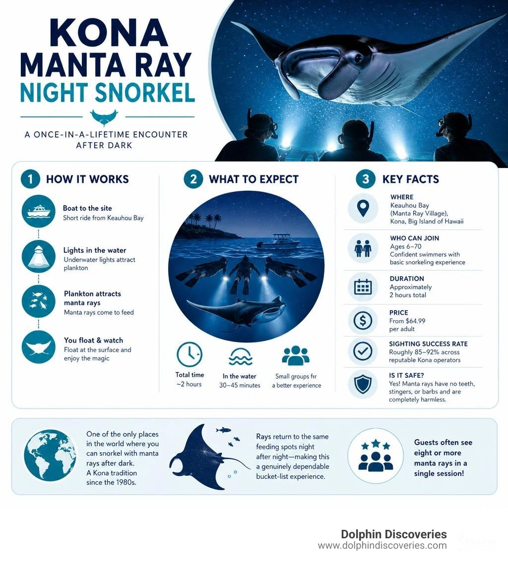 Infographic overview of the Kona manta ray night snorkel experience including how it works, what to expect, and key facts Infographic overview of the Kona manta ray night snorkel experience including how it works, what to expect, and key facts